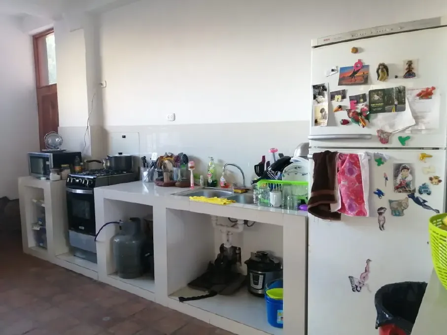 peru animal rescue centre volunteers kitchen
