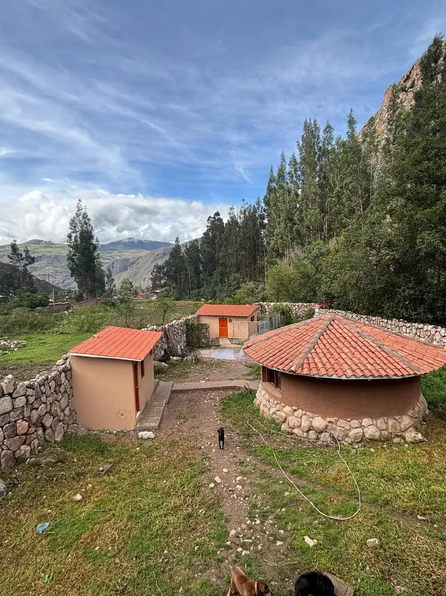 peru animal rescue centre volunteers new facilites