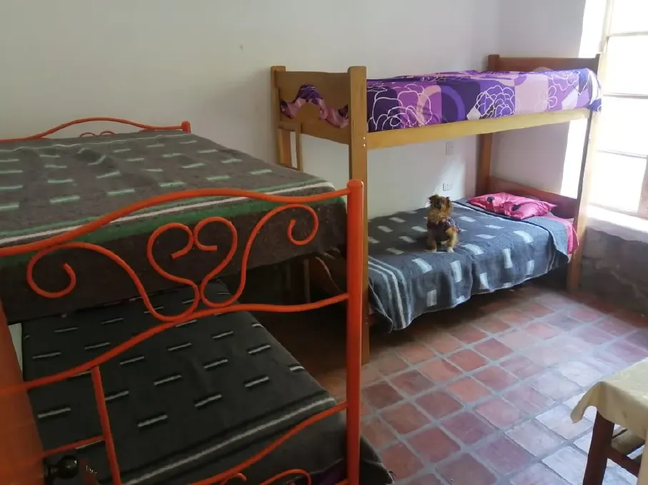 peru animal rescue centre volunteers room