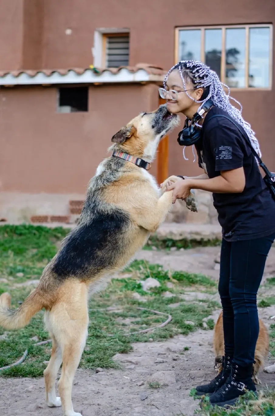 peru dog rescue centre happy volunteer playing