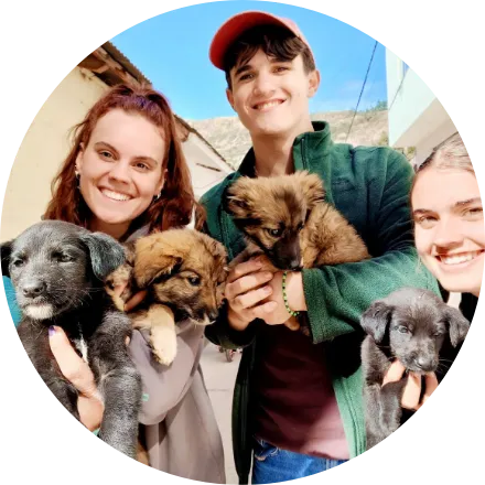 peru-dog-rescue-centre-volunteer-manager-position-circle.webp