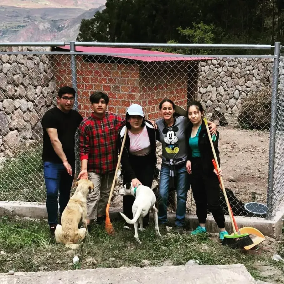 peru street dog rescue centre volunteers
