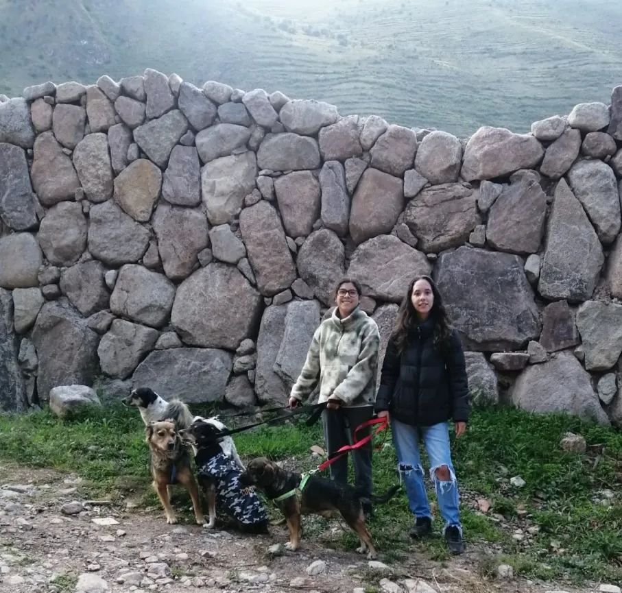 peru street dog rescue centre volunteers walking dogs
